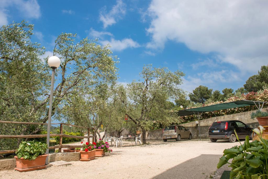 Alba Del Gargano Home Vieste Eksteriør bilde
