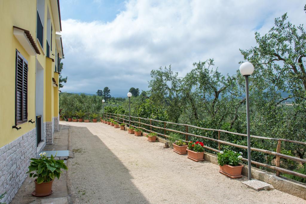 Alba Del Gargano Home Vieste Eksteriør bilde